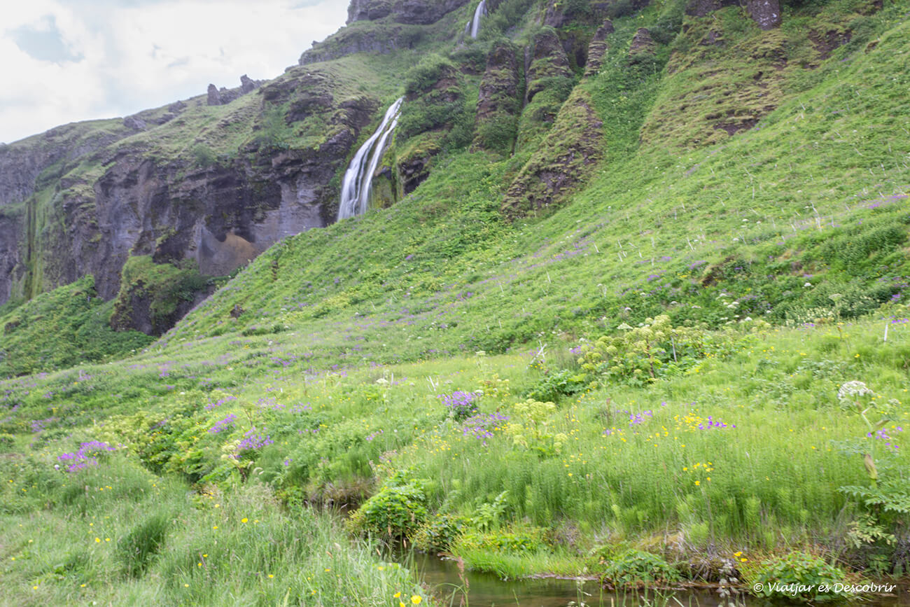 petites caigudes d'aigua al voltant de la cascada Seljalandsfoss