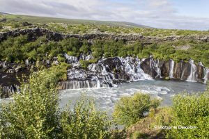 Islàndia, juliol 2013 – Dia 9: Per fi veiem foques de ben a prop!