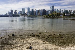 Oest de Canadà, juliol 2015 – Dia 18: Ens acomiadem de Canadà visitant la ciutat de Vancouver