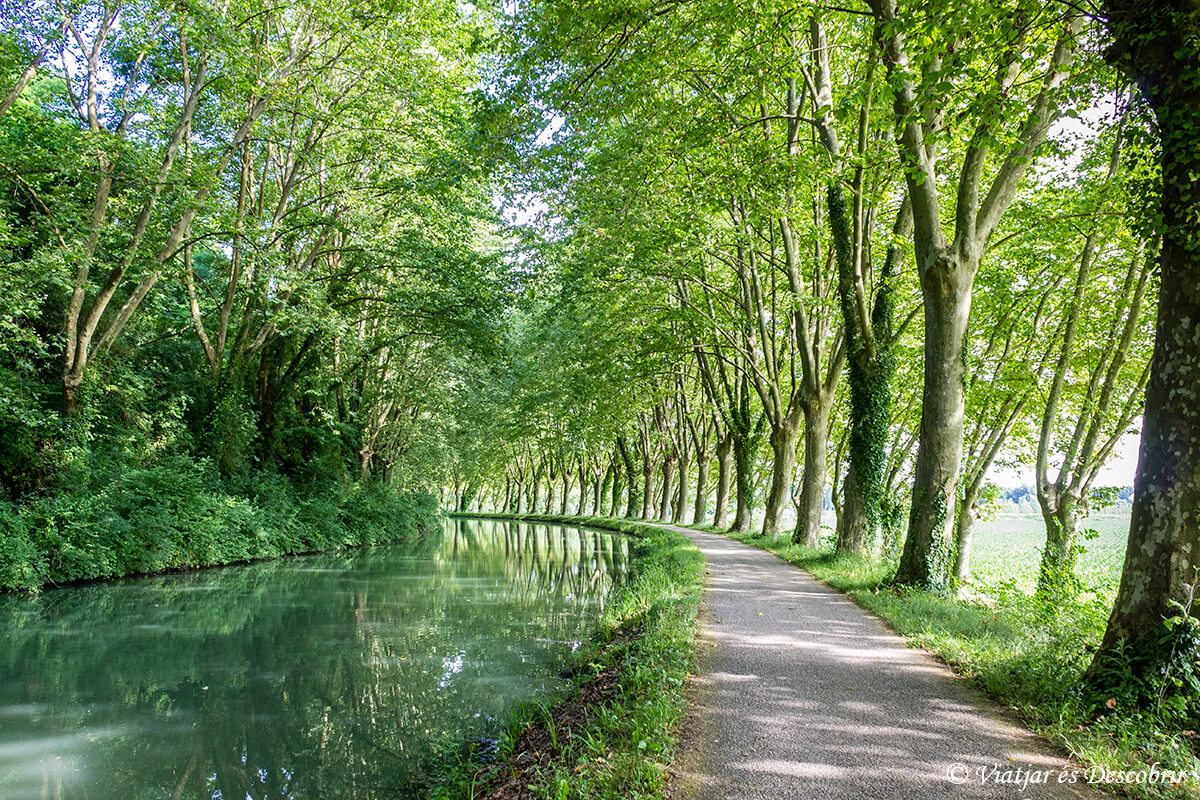 You are currently viewing França en bicicleta. La Ruta dels Dos Mars (II): El Canal de Garonne