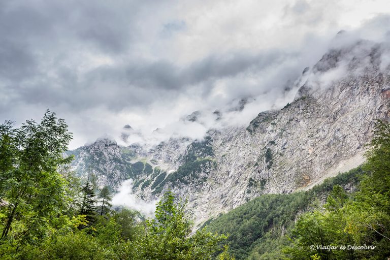 Més informació sobre l'article La Vall de Logarska Dolina, un tresor dels Alps eslovens