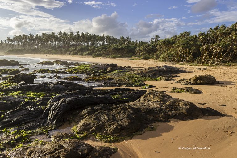 Més informació sobre l'article 10 Blogs de viatges en català molt recomanables