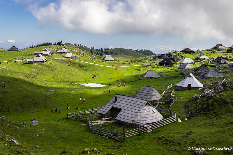 prats alpins de velika planina vistos durant el viatge a eslovenia