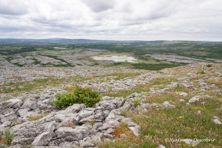 Més informació sobre l'article El Castell de Bunratty, el P.N. Burren i el Dolmen de Poulnabrone