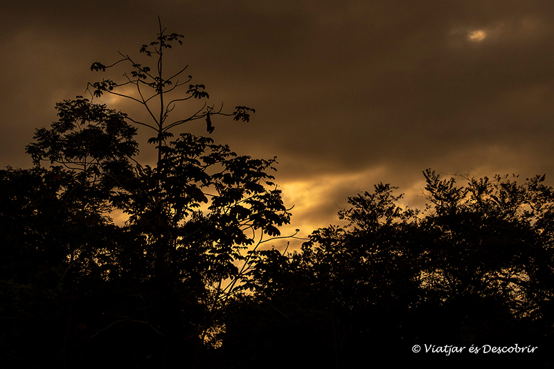 una bonica posta de sol i les siluetes de la selva per iniciar el viatge a Panamà