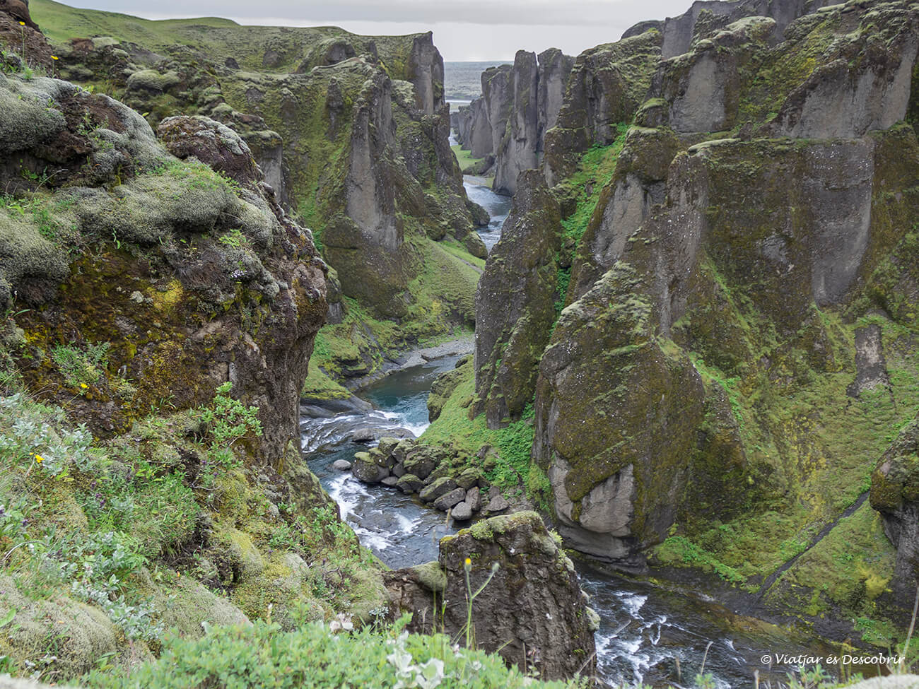 el canyó Fjaðrárgljúfur a l'estiu recobert de molsa de color verd