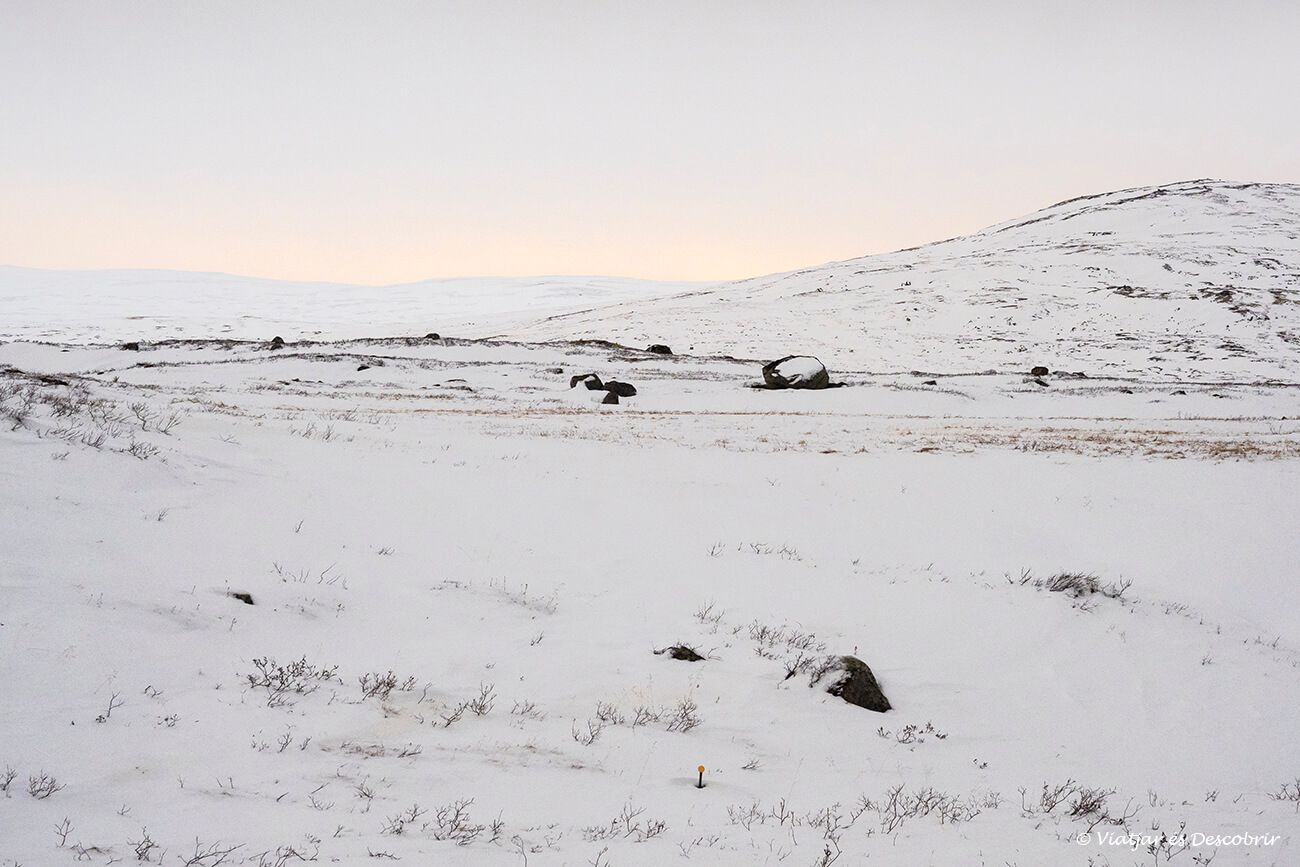 paisatges nevats del parc nacional Hardangervidda