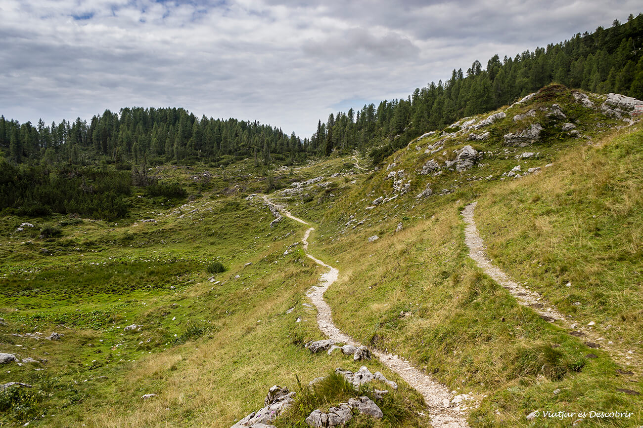 camins de sendersime per l'interior del Parc Nacional Triglav