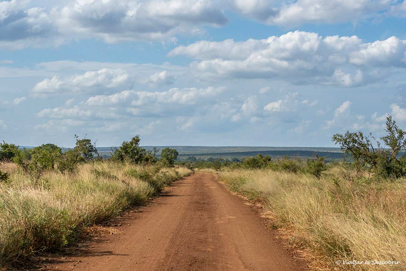 una de les pistes de terra que et pots trobar en conduir pel parc nacional Kruger