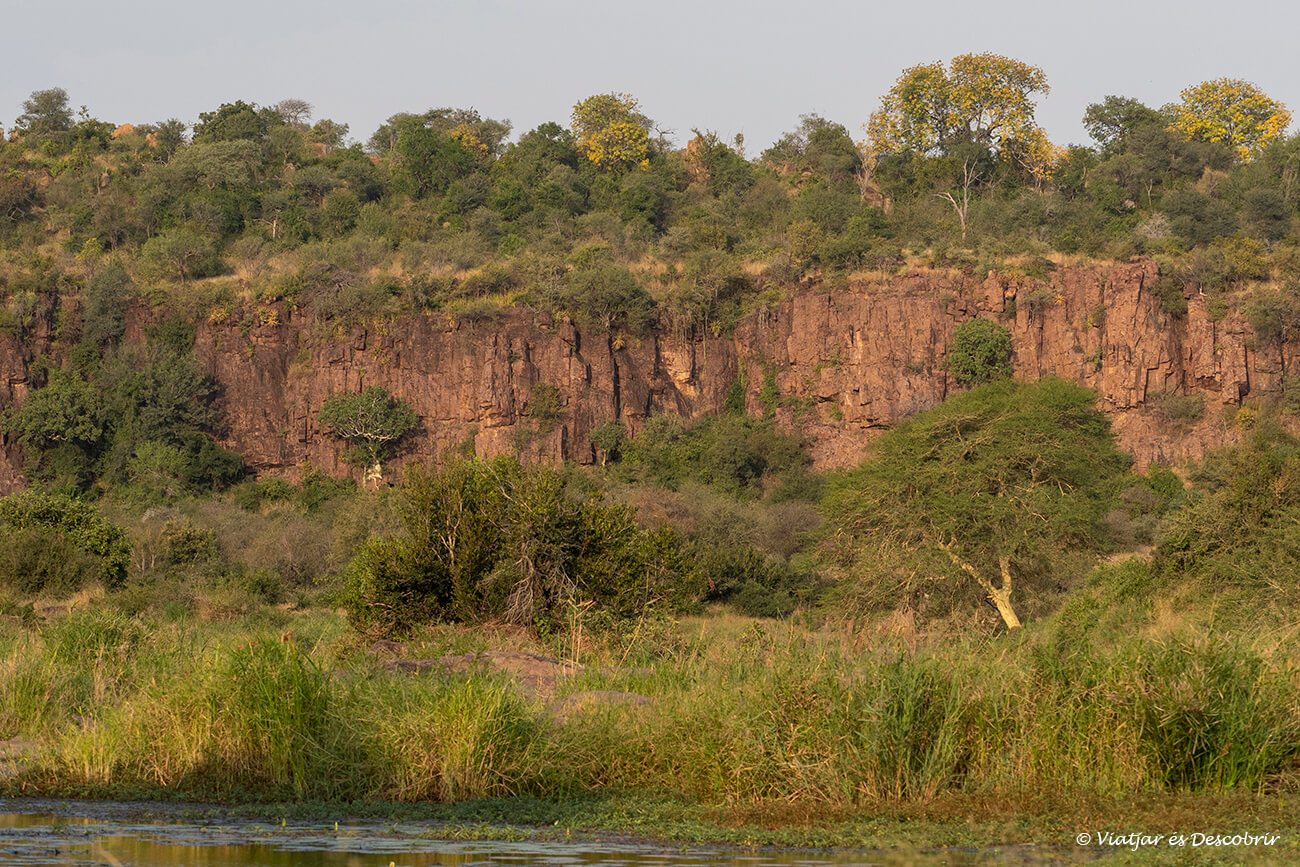 un paisatge argilós i amb grans arbres al nord del Kruger