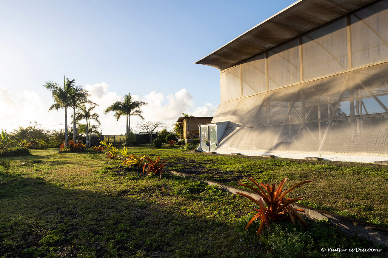 la granja d'agricultura regenerativa al nord de l'illa de Maurici on vaig estar col·laborant