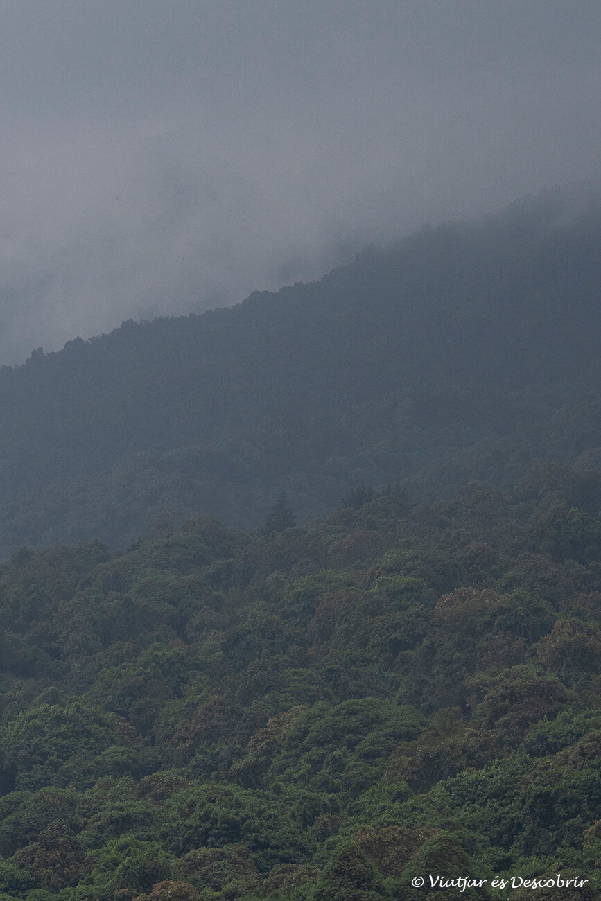 pluja i núvols durant l'inici del trekking per veure goril·les a Uganda