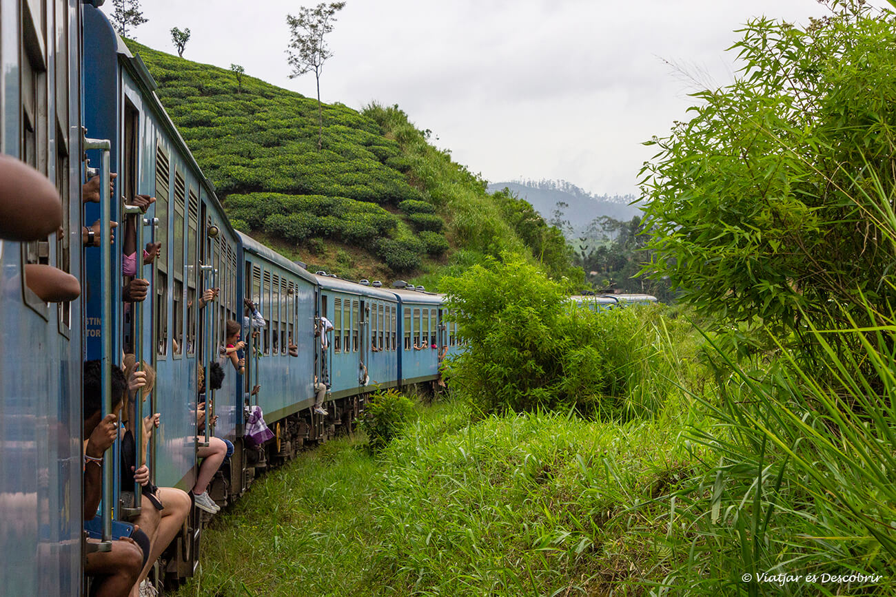 tren avançant lentament entre camps de te al centre de Sri Lanka