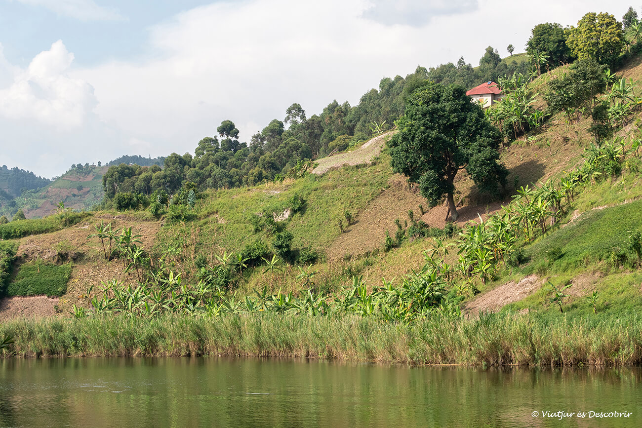 llacs ugandesos i cases rurals locals