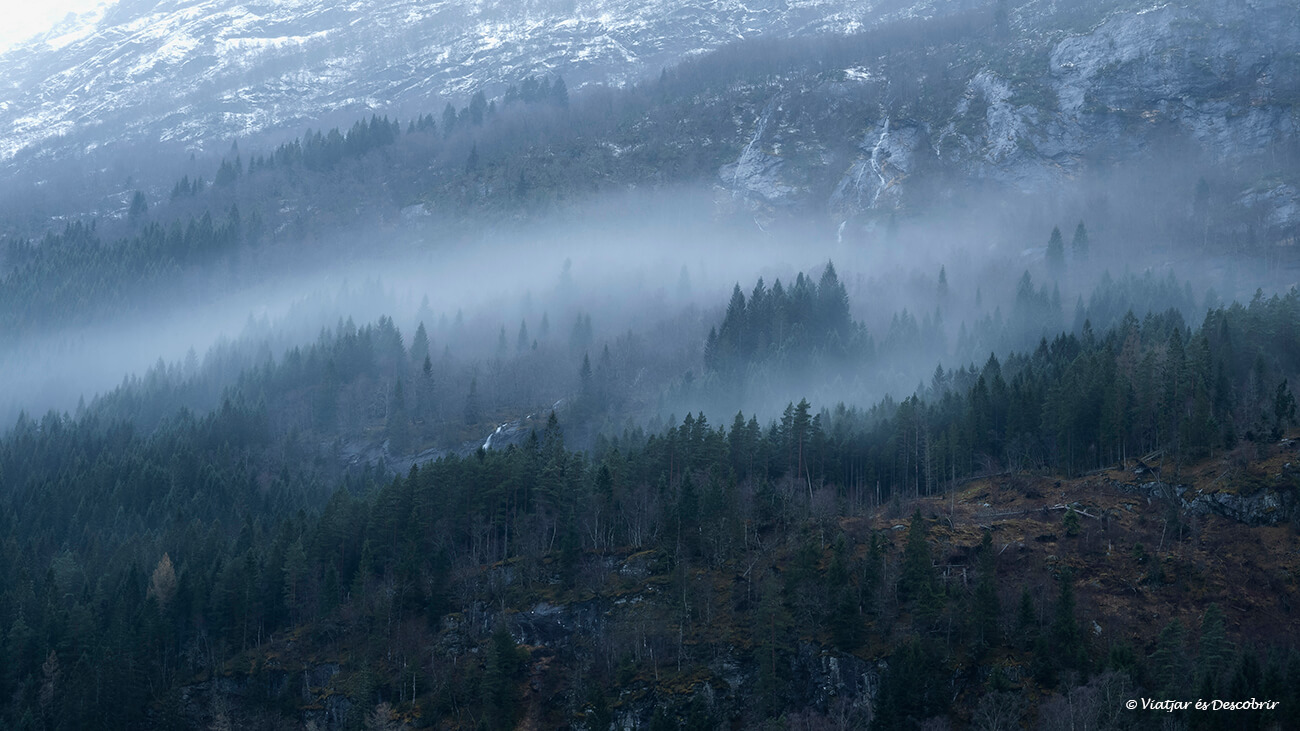 boscos que envolten el llac Oldevatnet recorrent la vall que comença des del poble d'Olden, una de les zones més interessants de Noruega