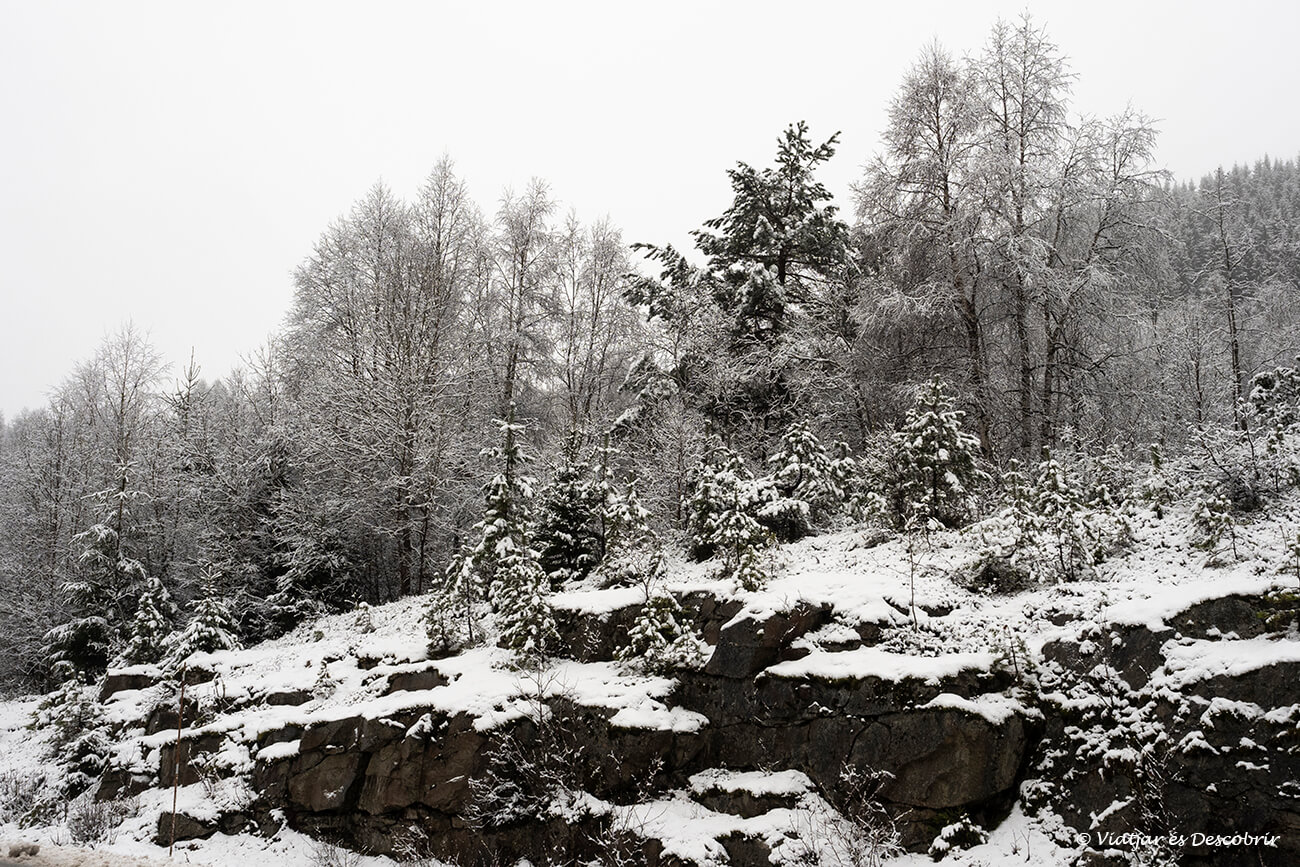 paisatge completament nevat al costat de la carretera durant el recorregut fins a Olden