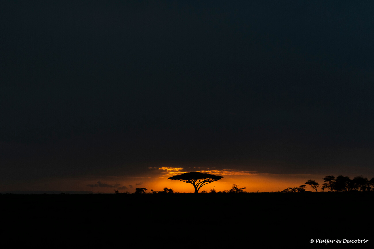 escenes dels paisatges de sabana que es poden veure tant a un safari a Kenya o Tanzània