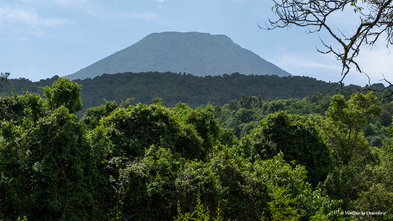 les muntanyes de Virunga són un dels hàbitats més excepcionals d'Uganda i Rwanda