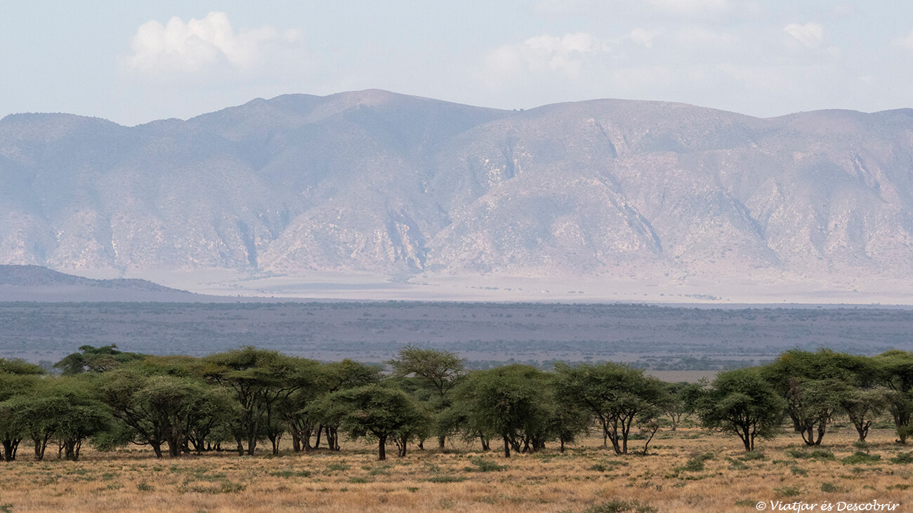 paisatges del llarg trajecte amb cotxe per arribar al Serengeuti i fer un dels safaris més autèntics i emocionants a Tanzània