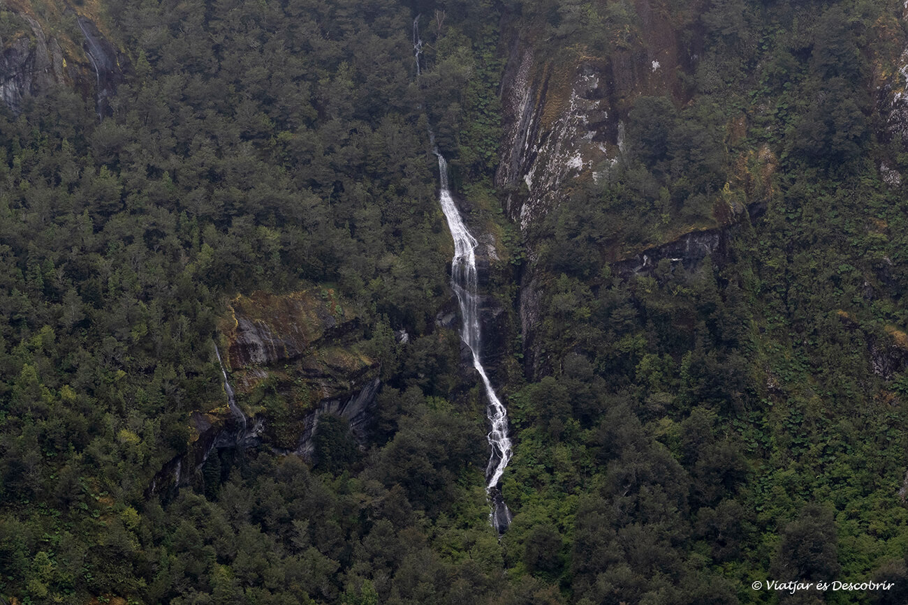 salts d'aigua entre els boscos verds del parc nacional queulat