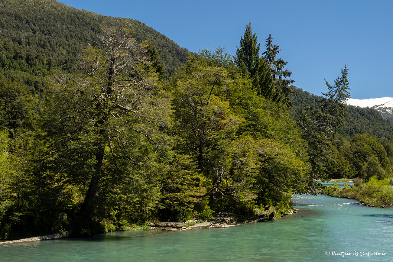 riu turquesa a la patagonia xilena i boscos verds envoltant-lo
