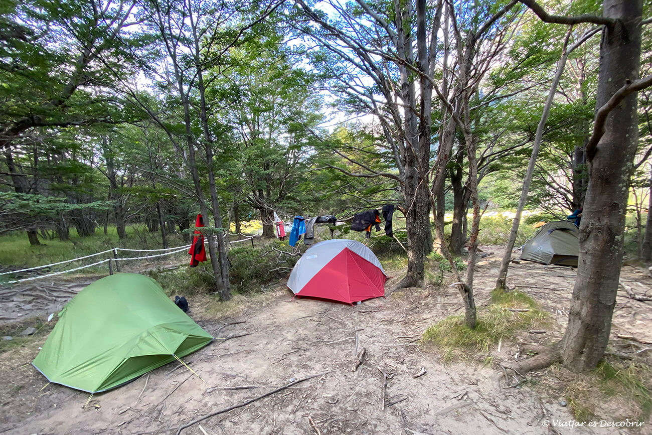 tendes dins del bosc a una zona de vent a Torres del Paine