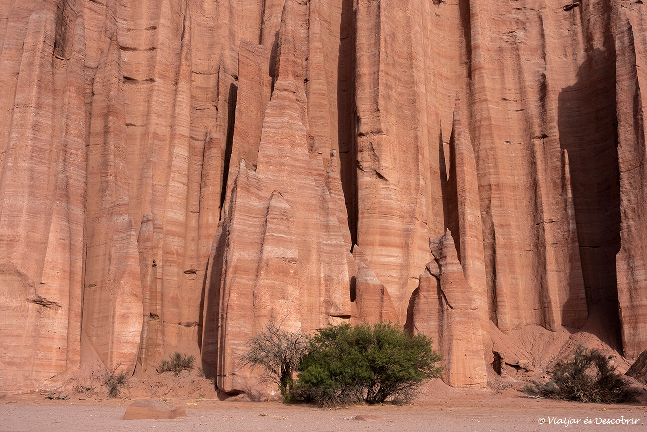 detalll de la zona coneguda com la Catedral a Talampaya gràcies a les seves columnes punxegudes