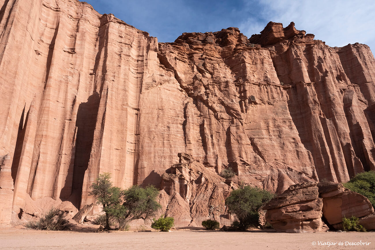 Actualment esteu veient Visitar Talampaya i Ischigualasto: guia de viatge