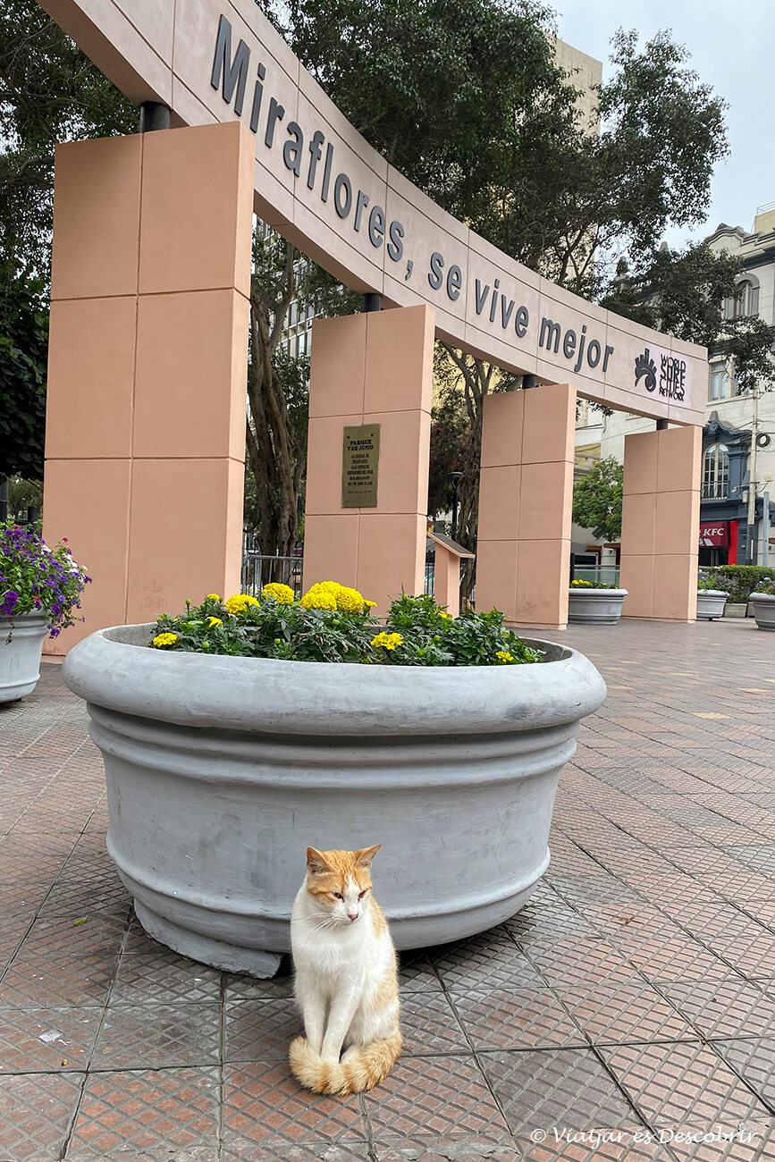 la plaça de Kennedy és un punt molt tranquil i segur del barri i un bon lloc on baixar si es decideix anar de l'aeroport a Miraflores amb bus