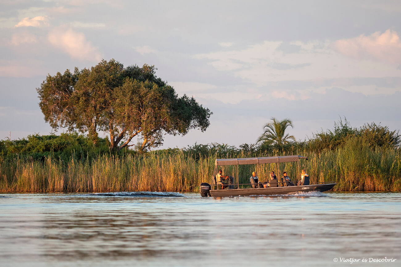l'elecció de la barca és molt important abans de fer un safari al riu Chobe i són molt millors les embarcacions petites i baixes com la de la imatge