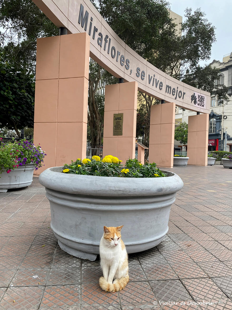 el parc Kennedy a Miraflores és un dels més coneguts i emblemàtics de la ciutat