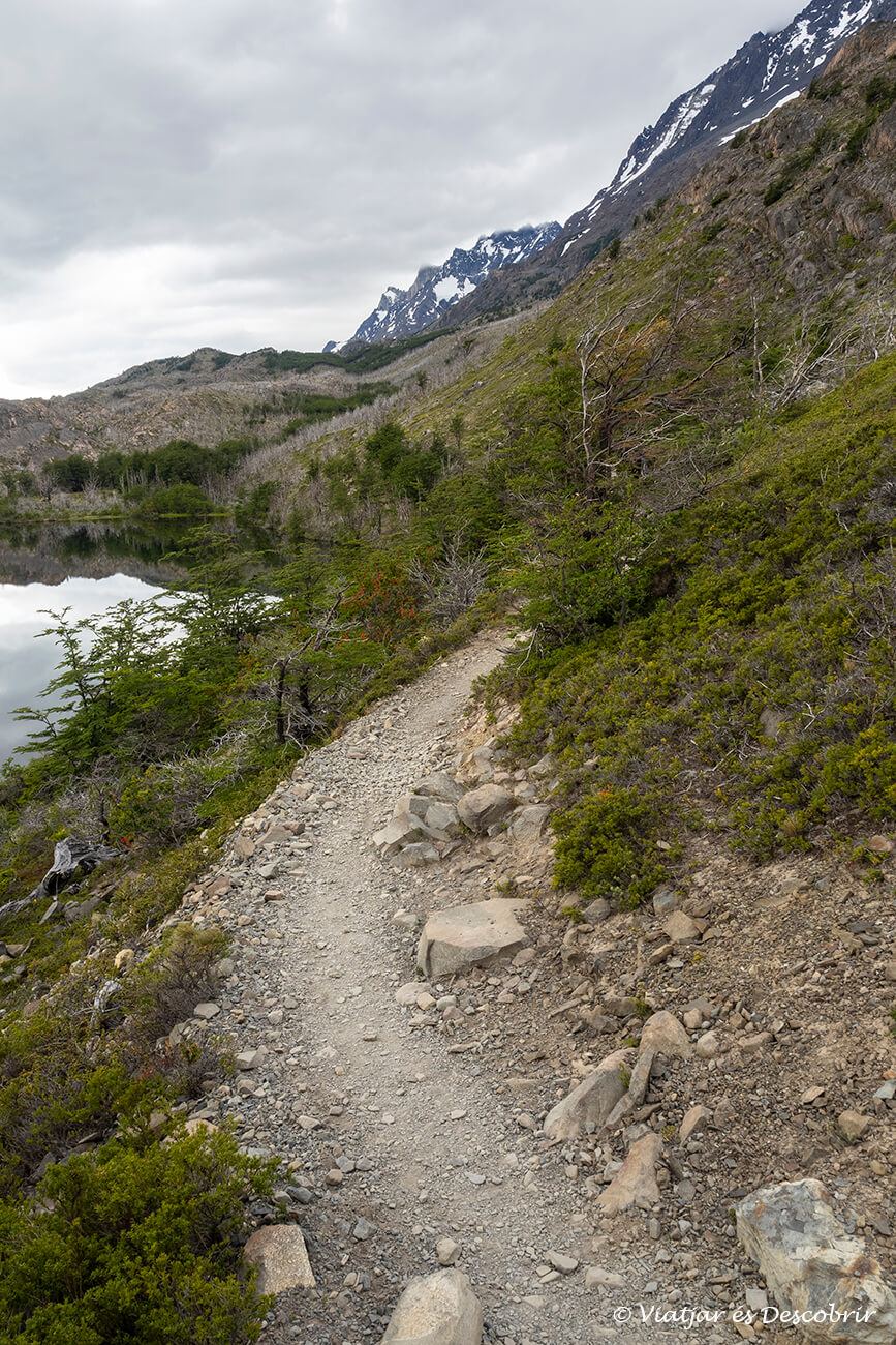 camí per l'interior del parc nacional torres del paine durant un dia de molt núvol