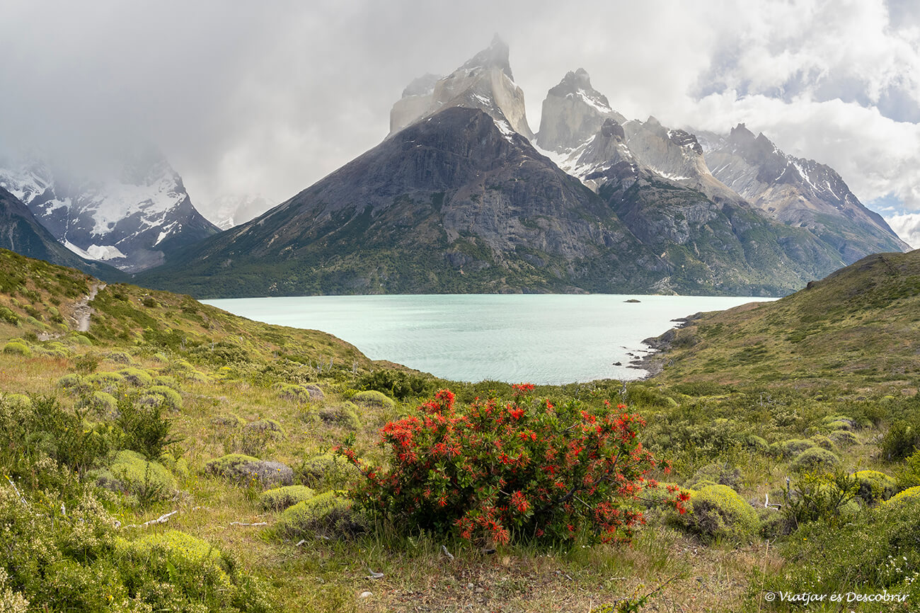 la ruta al mirador cuernos és un dels trekkings a torres del paine més recomanats per fer durant un matí o una tarda