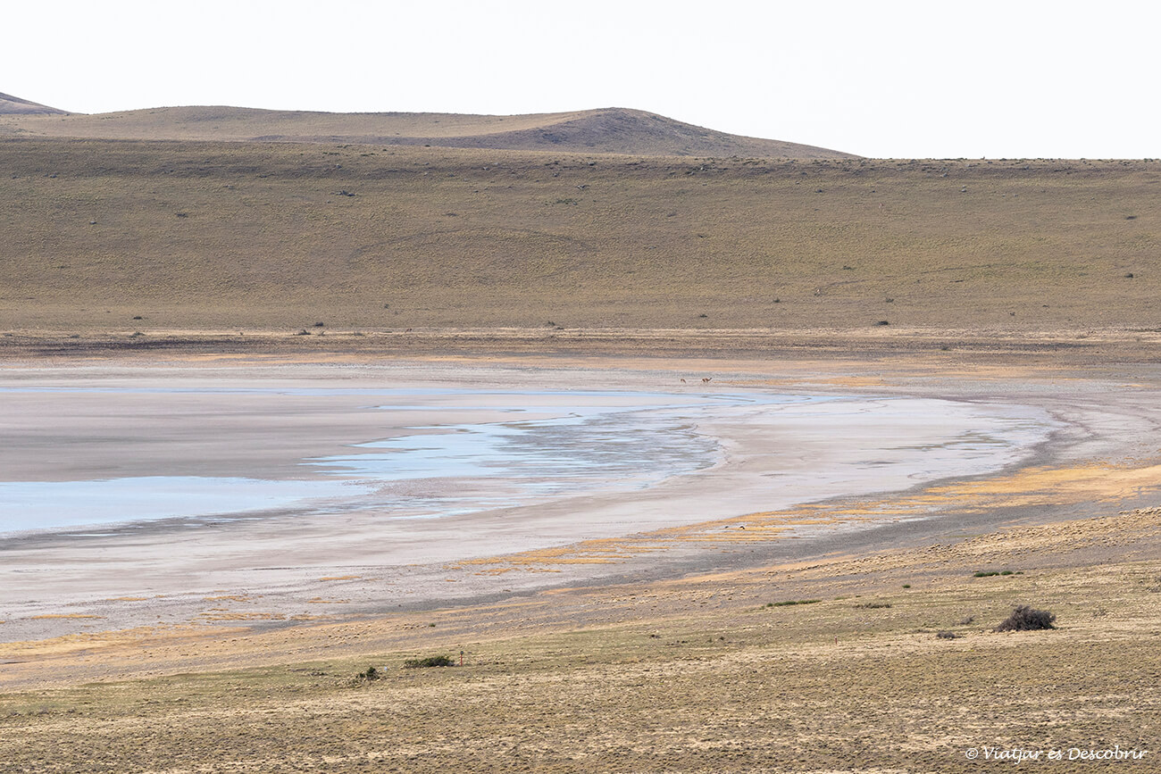 paisatge de la laguna ana