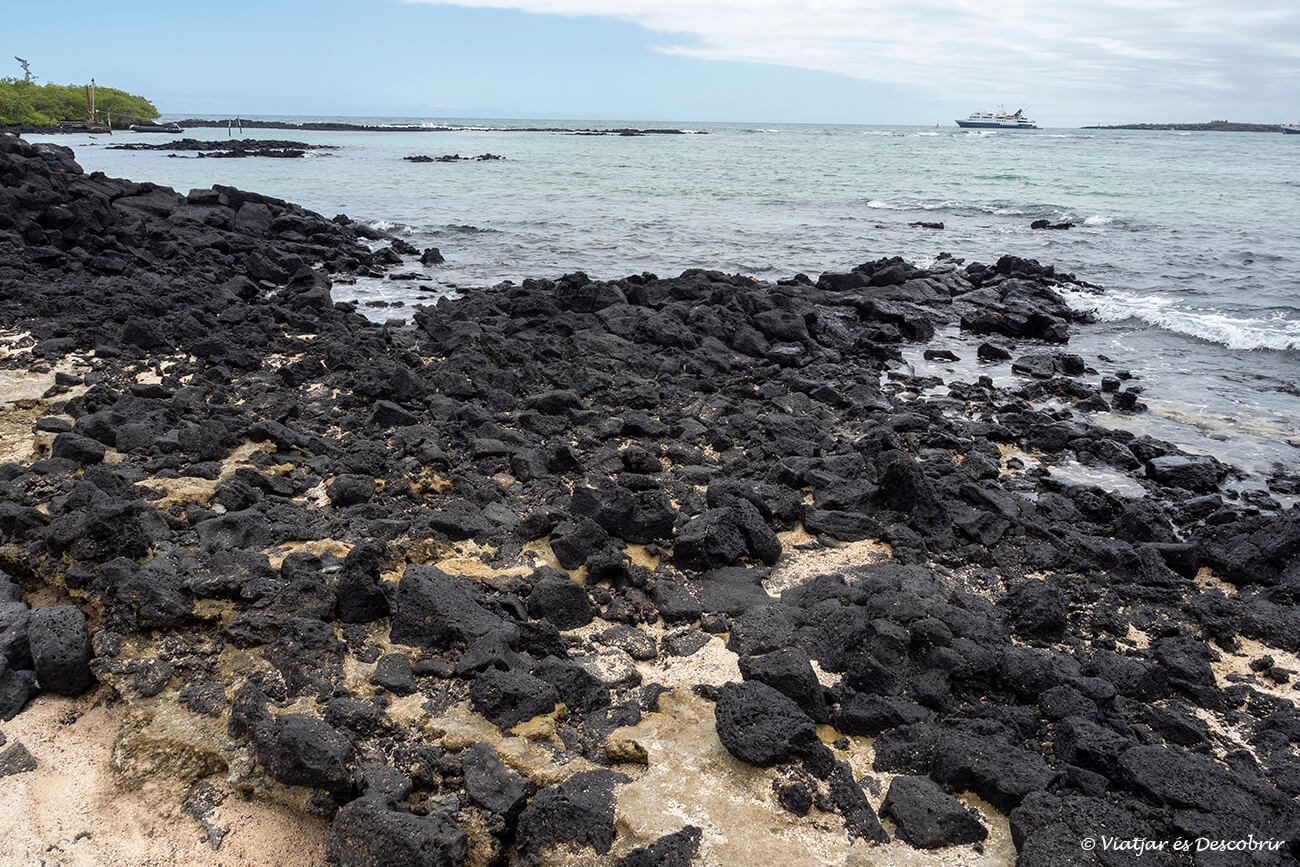 platja volcànica a l'illa santa cruz