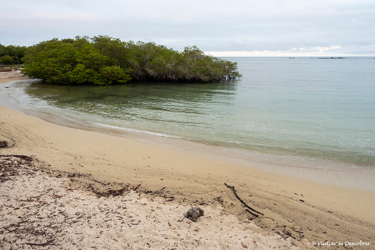 la playa de los alemanes és una activitat interessant per fer a Santa Cruz si es té alguna estona lliure