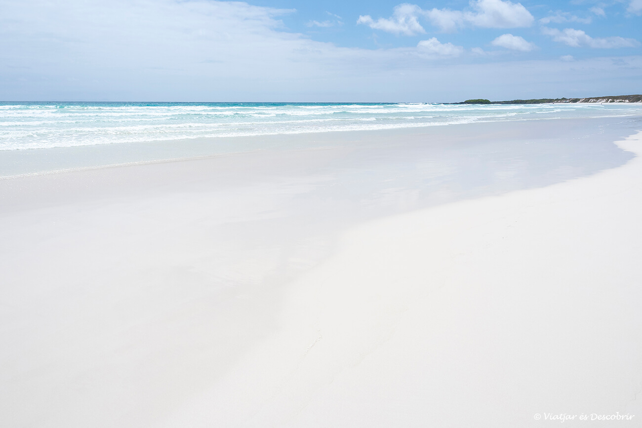 un imprescindible que fer a l'illa Santa Cruz és visita Tortuga Bay i caminar per les seves platges