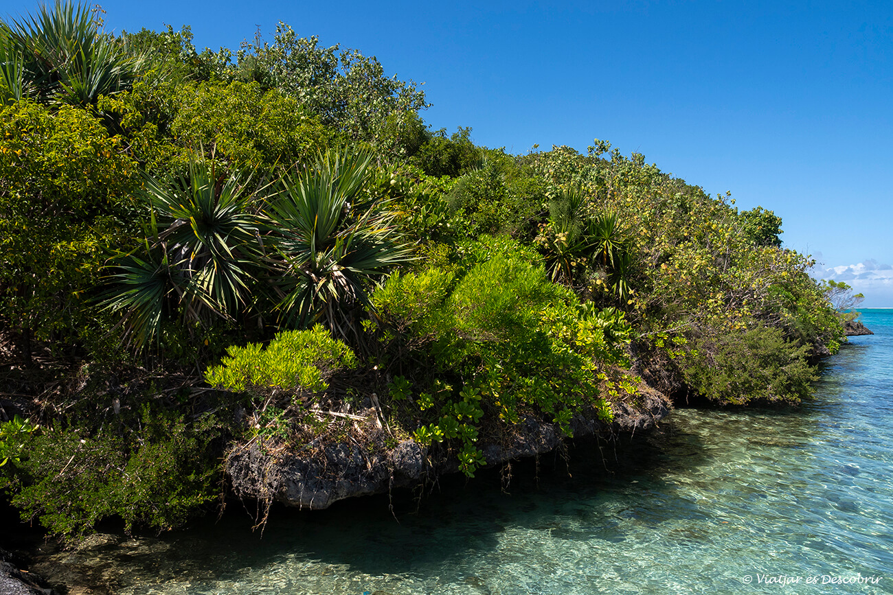 els marges de Île aux Aigrettes amb l'aigua turquesa que l'envolta