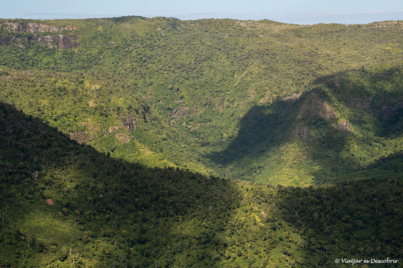 muntanyes i bosc al parc nacional Black Gorges a l'illa Maurici