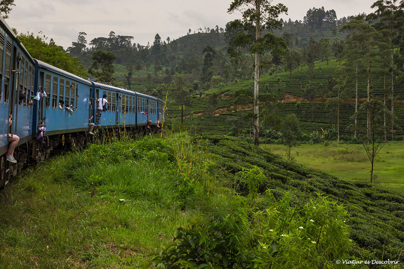 trajecte amb tren per arribar a Nuwara Eliya des de la ciutat de Kandy