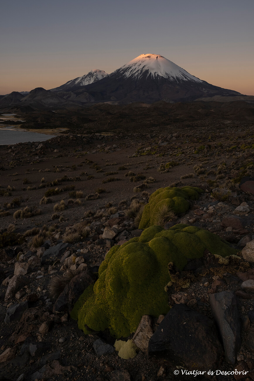 paisatge emblemàtic del Parc Nacional Lauca i els seus volcans