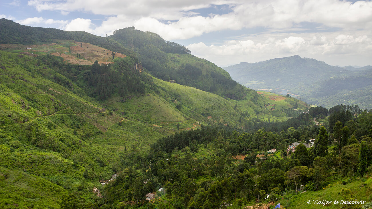 Què veure a Nuwara Eliya: paisatge verd i ple de turons tipic d'aquesta zona de les terres altes de sri lanka