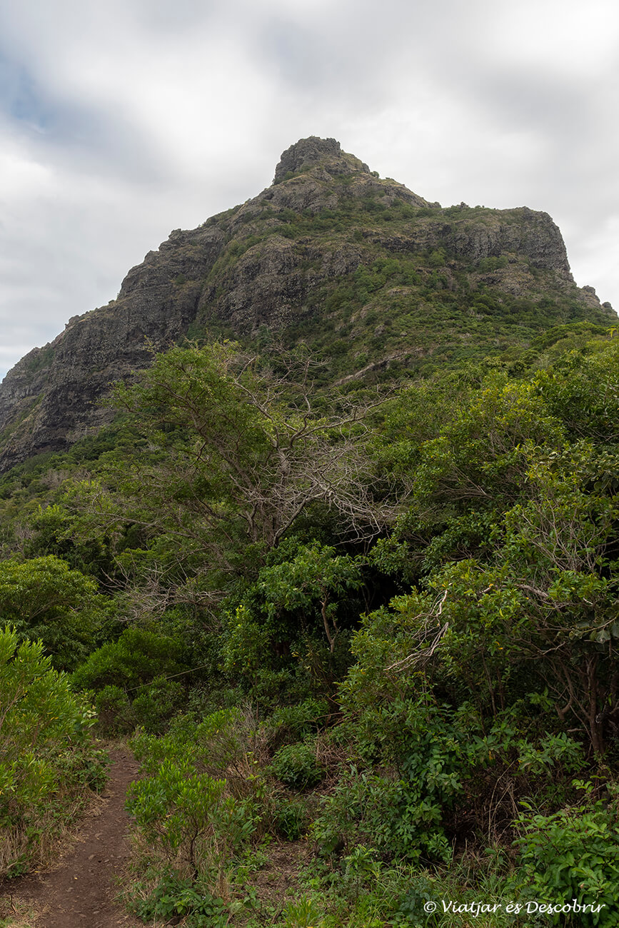 vista des del camí que puja a Le Morne