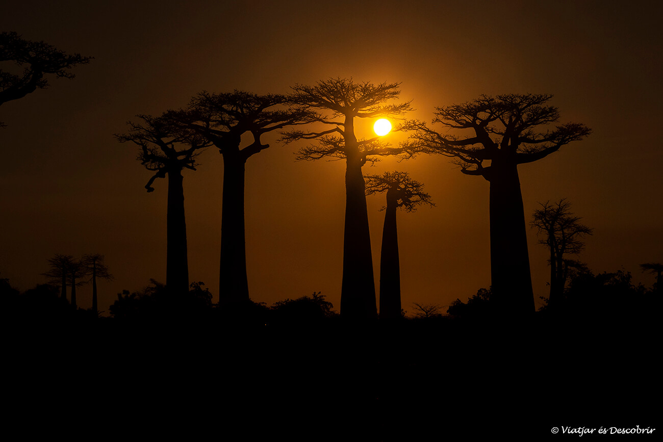 final d'un dia a Morondava