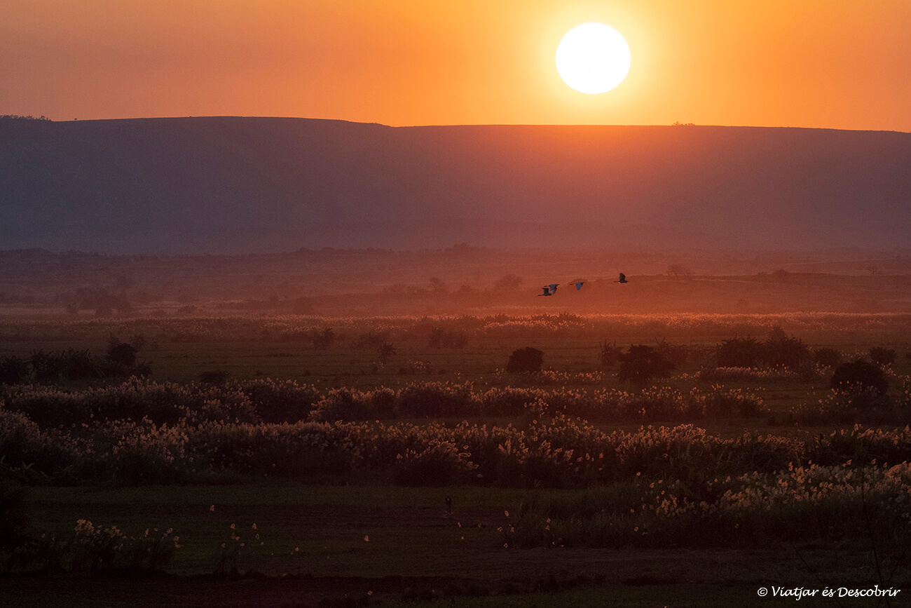 posta de sol a Madagascar de camí a l'Avinguda dels Baobabs