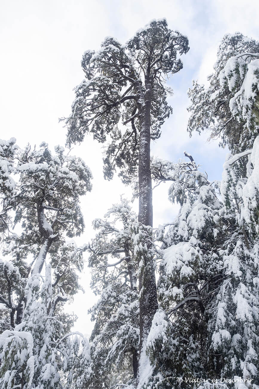temporal de neu a Pucón a finals de la tardor