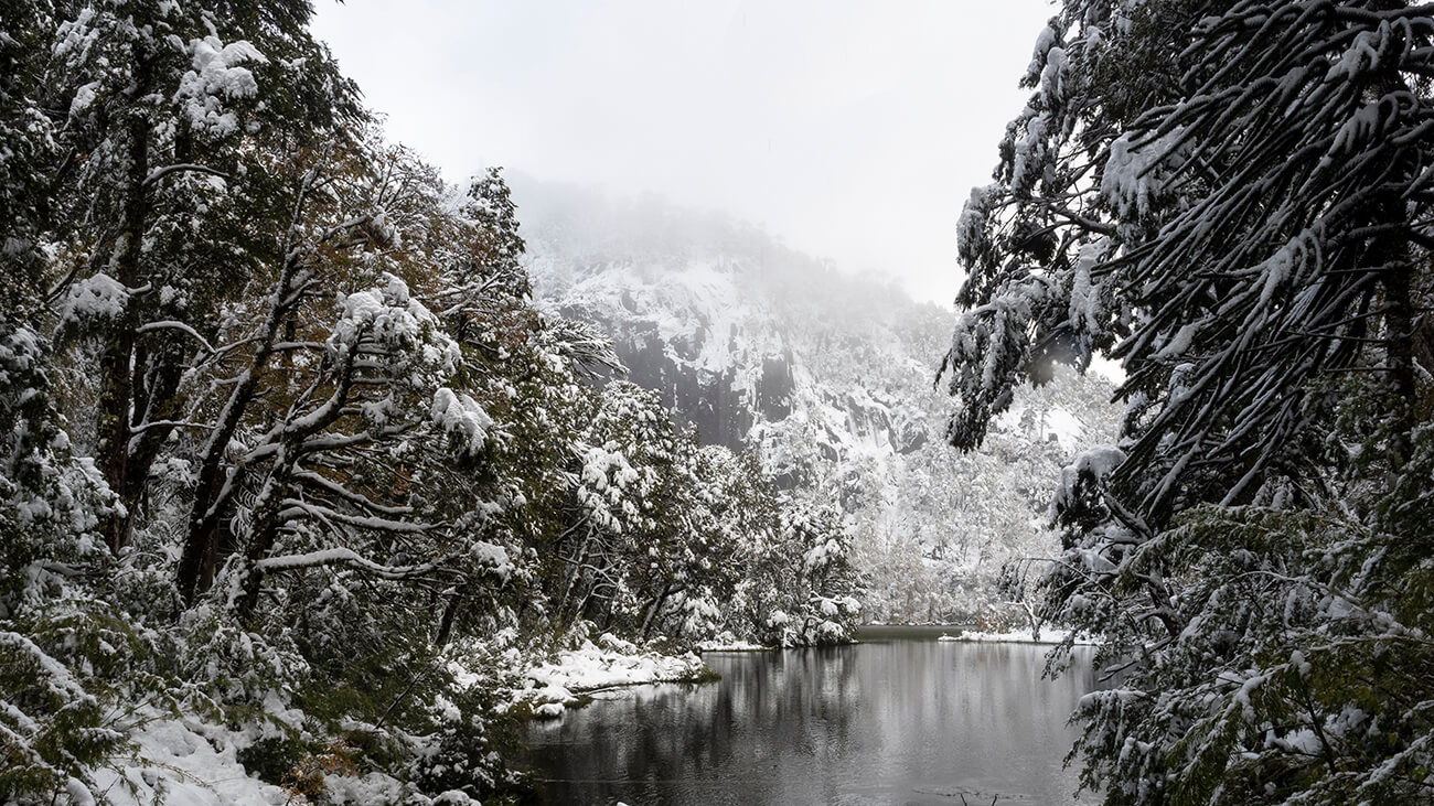 paisatge nevat al Parc Nacional Huerquehue en una de les excursions més boniques que fer a Pucón