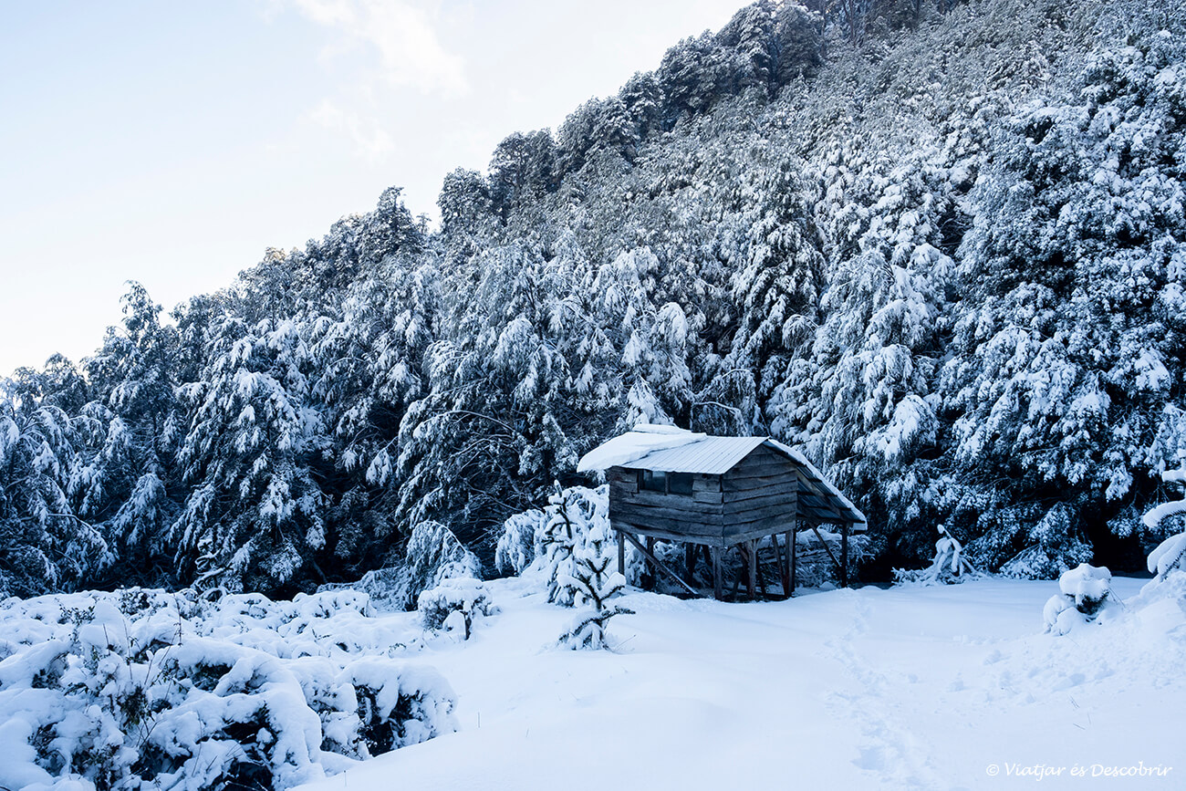 paisatge nevat i gèlic al Santuario el Cañi a Pucón