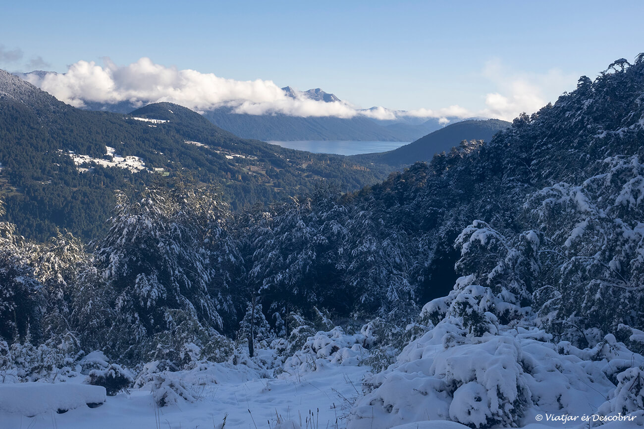 paisatge nevat durant la meva experiènica completant els imprescindibles que fer a Pucón i intentant pujar al mirador del Santuario el Cañi
