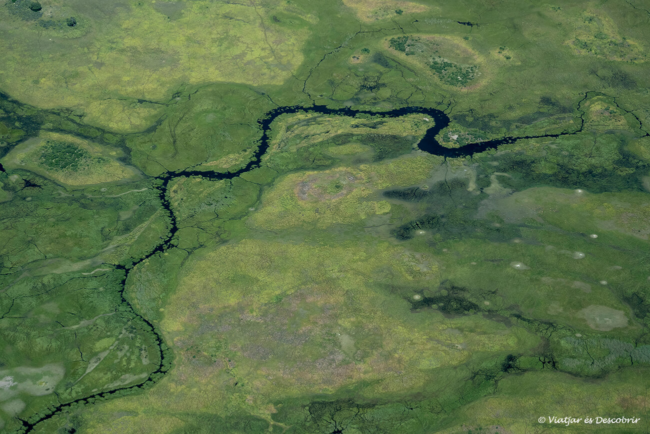 vista des de l'aire del Delta de l'Okavango durant la green season que és quan els preus d'un safaria Botswana són més baixos